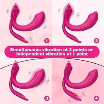 Wireless Wearable 3-in-1 Erotic Panties USB Powered Rose Vibrator for Women
