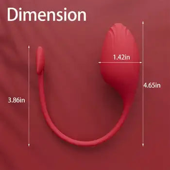 Cupid APP Remote Control Egg Vibrator - Wearable G-Spot Massager with 10 Vibration Modes - Sex Toys
